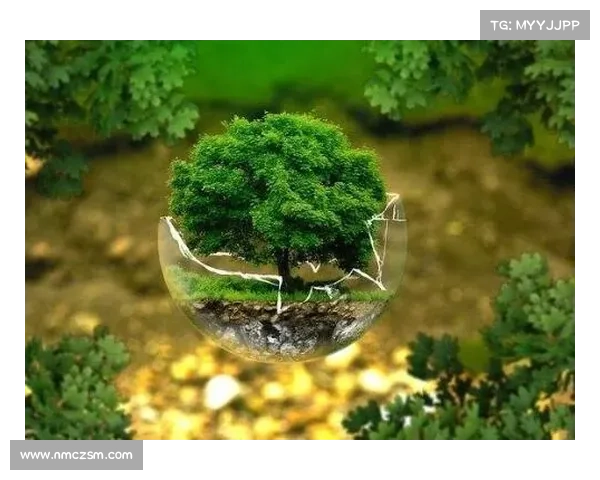 携手共建美好家园环境共筑绿色未来实现人与自然和谐共生 携手共建美好家园环境共筑绿色未来实现人与自然和谐共生