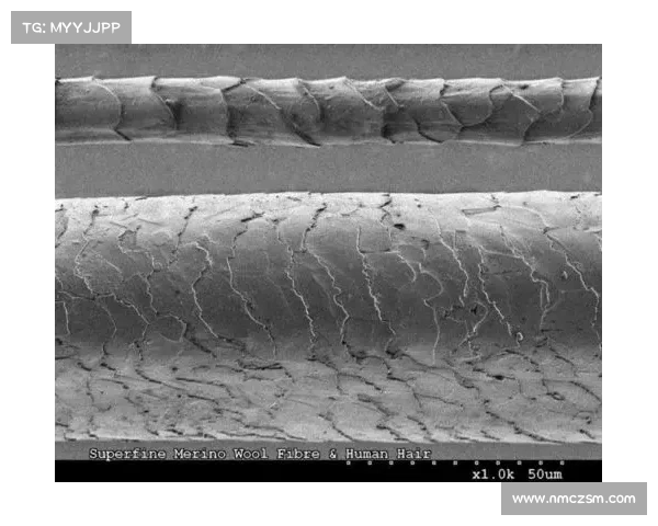 冰虫鳞片的六大结构与功能特点解析及其在生物学中的应用研究 冰虫鳞片的六大结构与功能特点解析及其在生物学中的应用研究