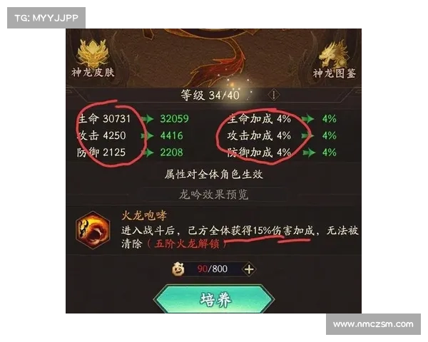 玩转神仙道霸者宝石的十大技巧助你快速提升战力与策略技巧