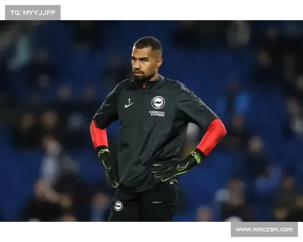 桑切斯职业生涯回顾与球队转会全景分析