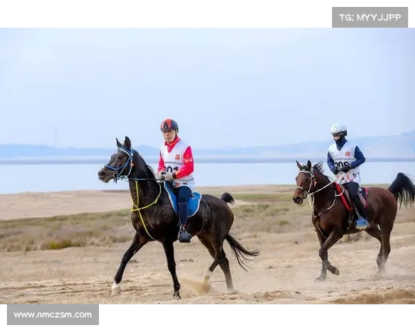 如何全面评估马术比赛中赛马的速度技巧耐力与表现标准