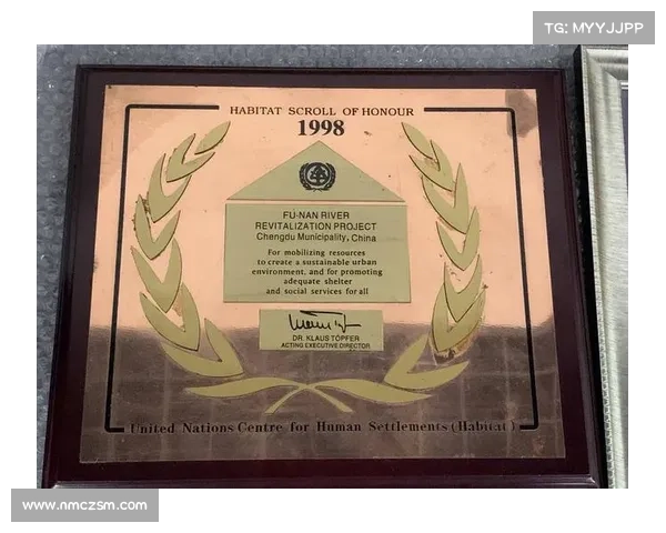 成都蓉城75万欧元报价背后的市场意义与战略布局解析 成都蓉城75万欧元报价背后的市场意义与战略布局解析