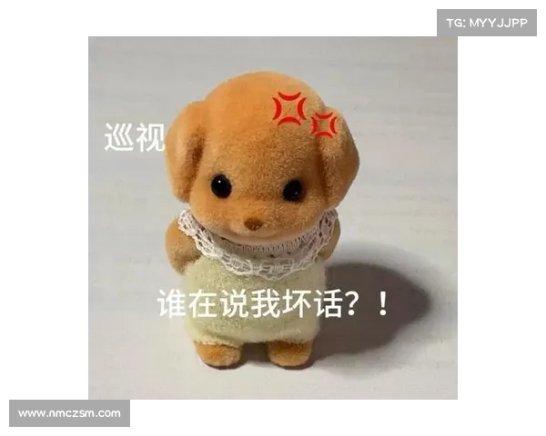 打造专属11-11森贝儿表情包技巧全解析，轻松定制个性化表情包